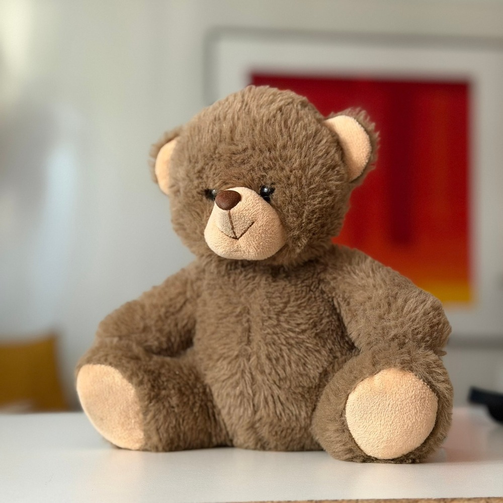 Naturally Kids Brown Teddy Bear Plush Stuffed Animal Soft‎ Shaggy 8.5 Inch Toy
